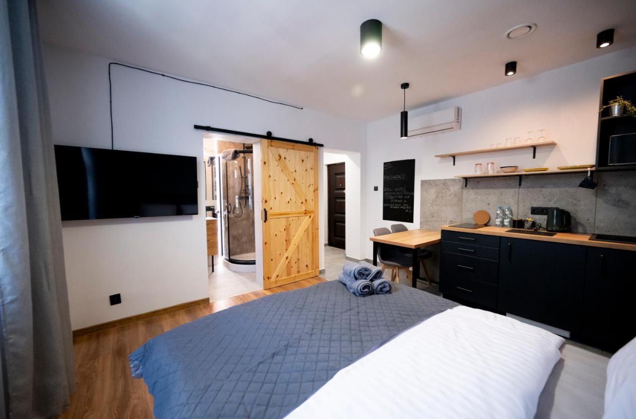 Krzywa Apartment *