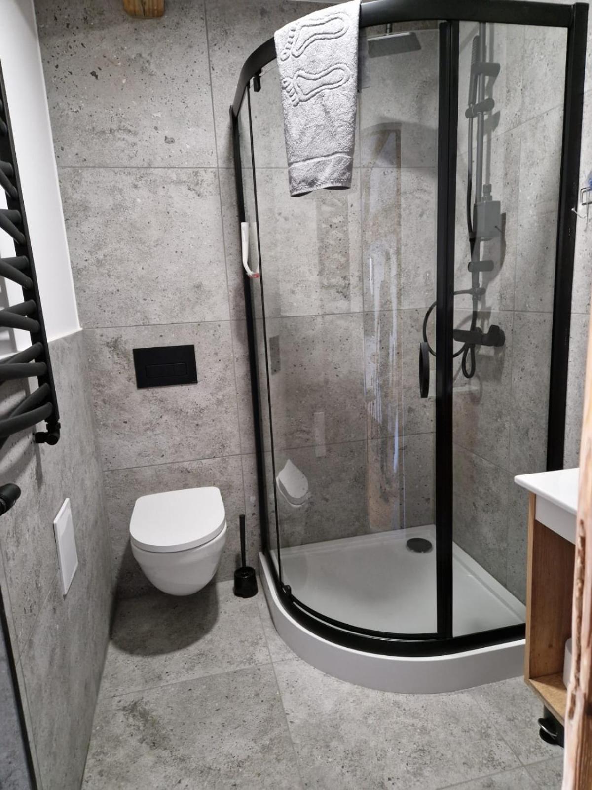Apartment Krzywa